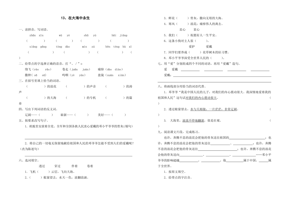 13、在大海中永生作业设计_第1页