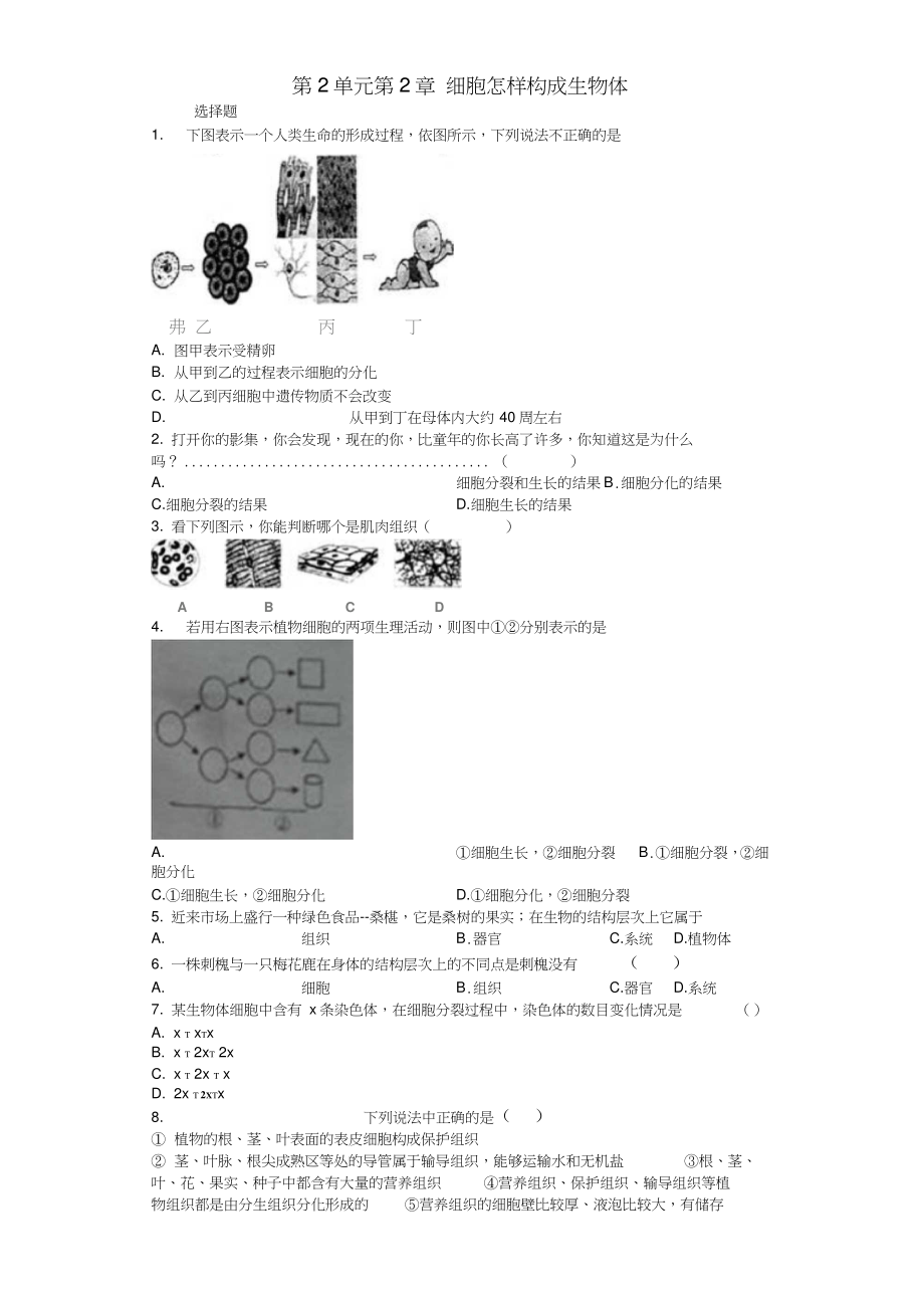 2017-2018学年七年级生物上册第2单元第2章细胞怎样构成生物体单元测试题(新版)新人教版_第1页