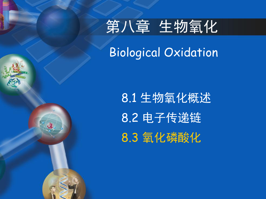 生物化学第五章生物氧化第三节氧化磷酸化_第1页