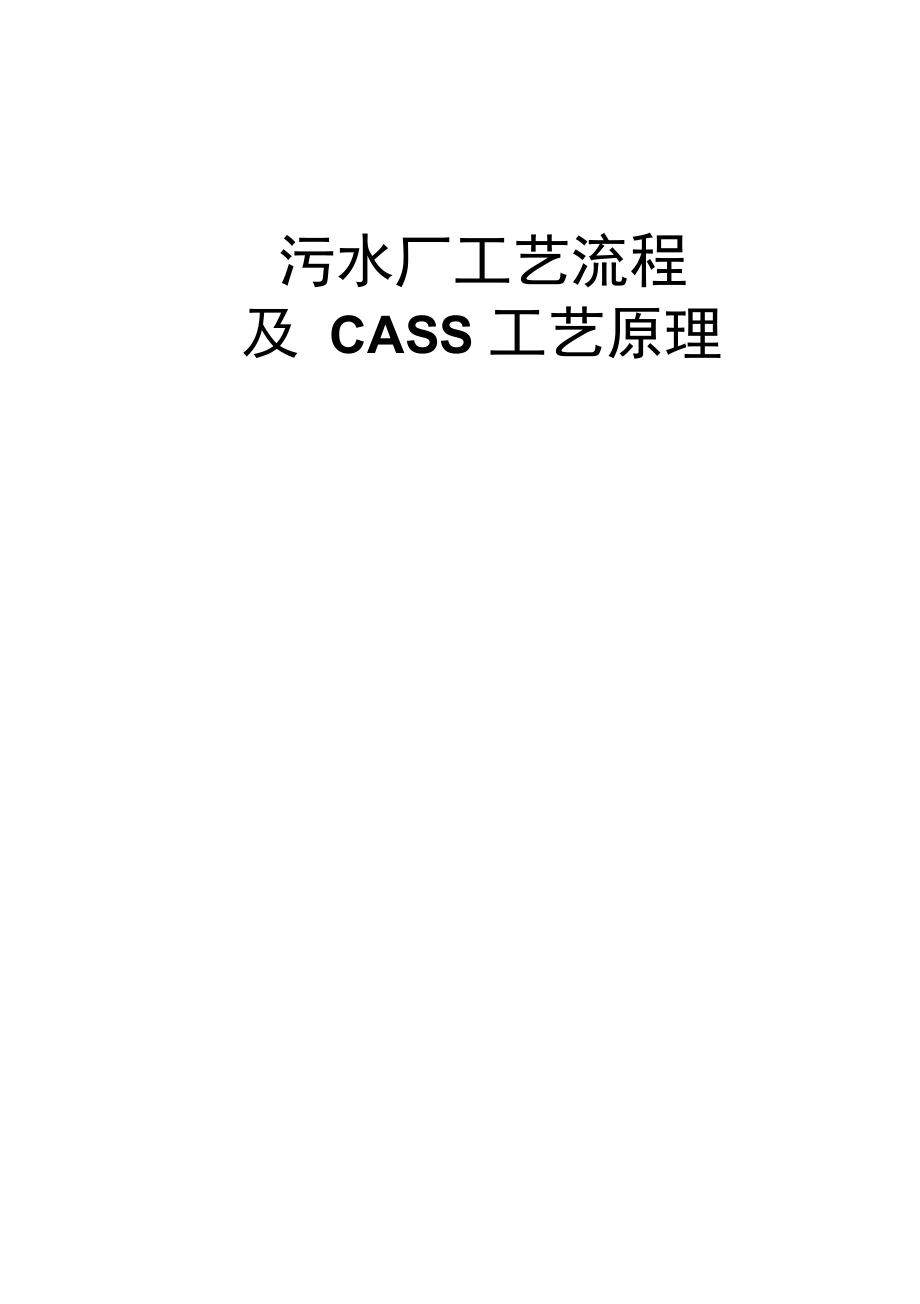 工艺流程及CASS工艺原理_第1页