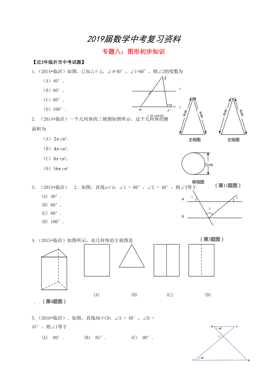 山東省臨沂市中考數(shù)學(xué)二輪專題復(fù)習(xí) 專題8 圖形初步知識_第1頁