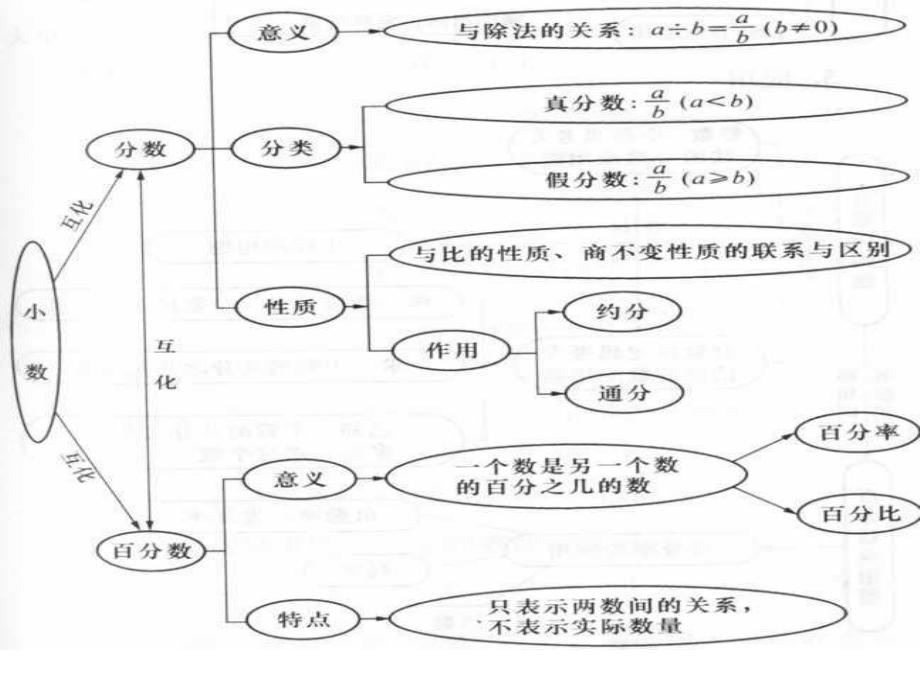 小数、分数和百分数互化_第1页