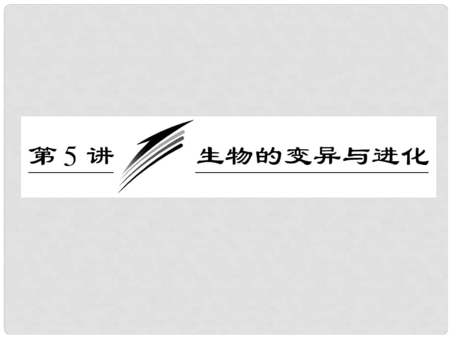 高考生物專題復(fù)習(xí)專題四 第五講生物的變異與進(jìn)化_第1頁