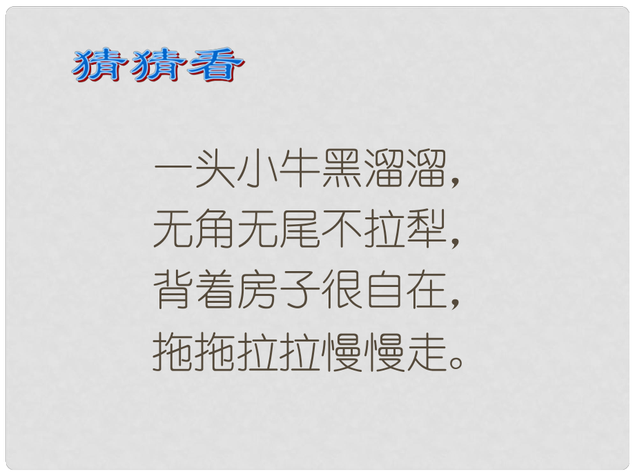 六年級(jí)語(yǔ)文上冊(cè) 蝸牛慢條斯理的生活 2課件 語(yǔ)文A版_第1頁(yè)