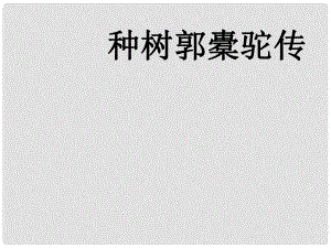 高考語文一輪復習 《種樹郭橐駝傳》課件 新人教版選修《中國古代詩歌散文欣賞》