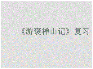 高中語文 《游褒禪山記》復(fù)習(xí)課件 蘇教版選修《唐宋八大家散文選讀》