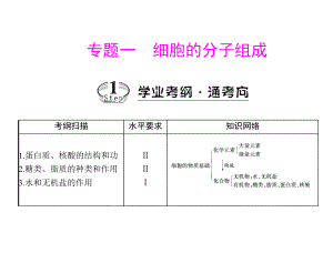 專題一 考點1 蛋白質、核酸的結構和功能