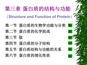 第03章蛋白质的结构与功能