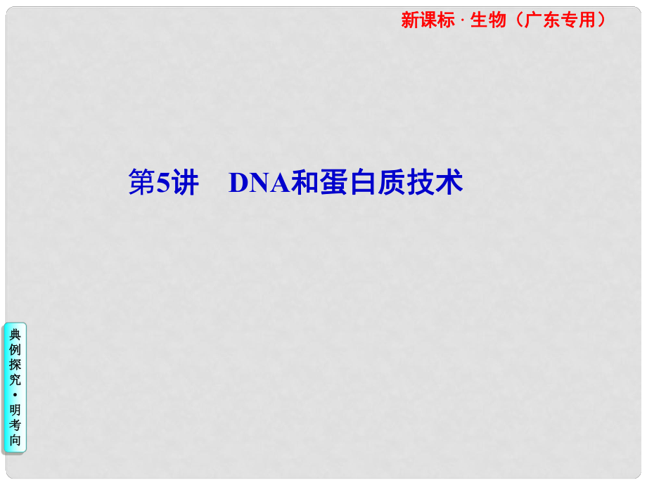 高三生物专题复习 DNA和蛋白质技术课件_第1页