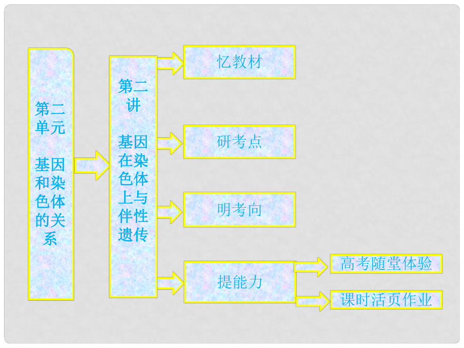 高中生物一輪復習 第二單元 第二講 基因在染色體上與伴性遺傳課件 新人教版必修2_第1頁