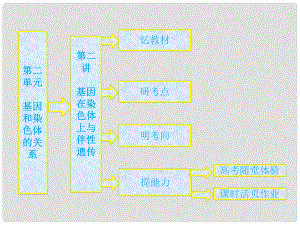 高中生物一輪復習 第二單元 第二講 基因在染色體上與伴性遺傳課件 新人教版必修2