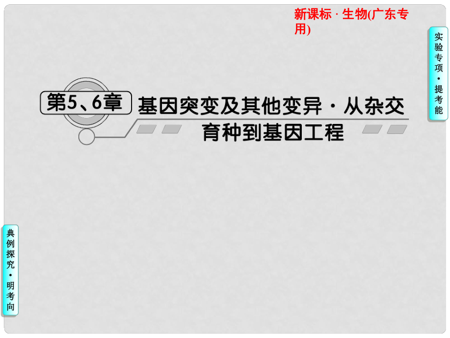 高考生物一轮复习 第5、6章 第1讲 基因突变和基因重组课件 必修2（广东专版）_第1页