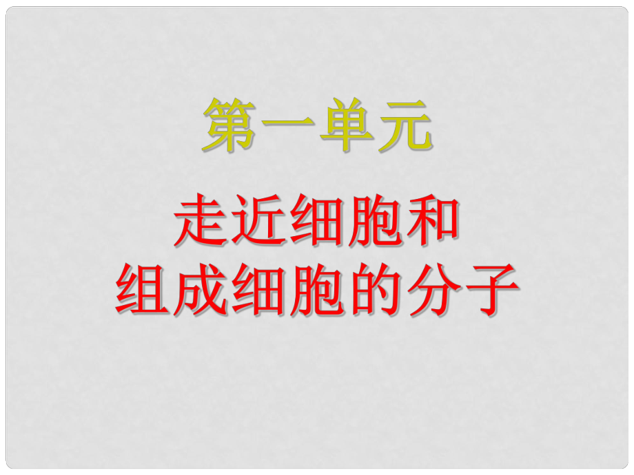 高三生物復(fù)習(xí) 核酸、糖類、脂質(zhì)課件_第1頁