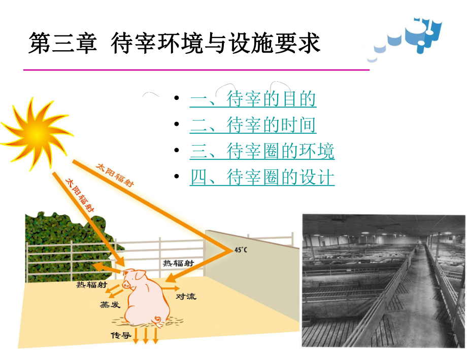 待宰环境和设施要求_第1页