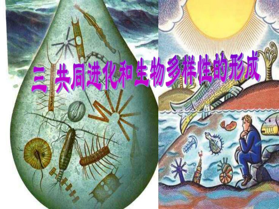 內(nèi)蒙古自治區(qū)赤峰市元寶山區(qū)二中高二生物 第7章第2節(jié)共同進(jìn)化和生物多樣性的課件_第1頁