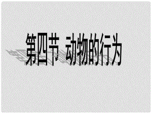 七年級生物上冊 第一單元 第二章 第二節(jié) 動(dòng)物的行為課件 濟(jì)南版