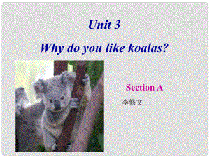 山東省日照港中學(xué)七年級(jí)英語下冊(cè)《Unit 3 Why do you like koalas：Section A（1）》課件 人教新目標(biāo)版