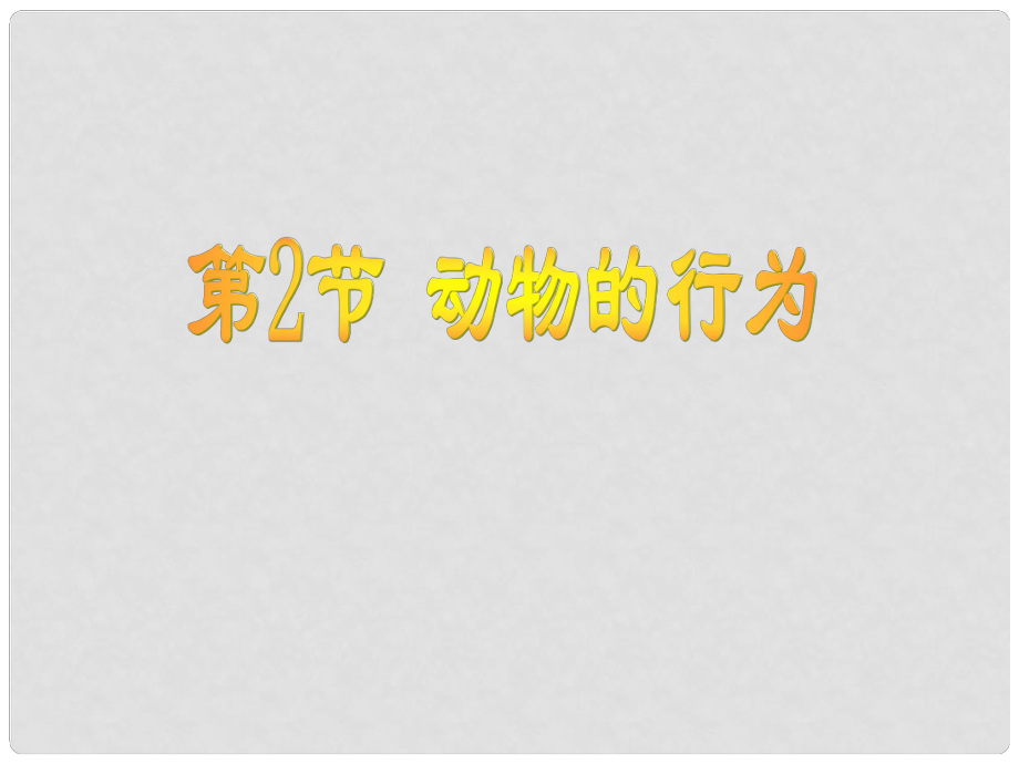 江蘇省金湖縣八年級生物上冊 動物的行為課件 蘇教版_第1頁