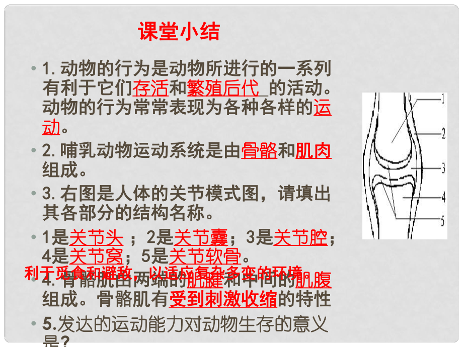 山東省聊城莘縣翰林中學(xué)八年級生物上冊 先天性行為和學(xué)習(xí)行為課件 新人教版_第1頁