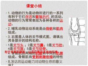 山東省聊城莘縣翰林中學(xué)八年級(jí)生物上冊(cè) 先天性行為和學(xué)習(xí)行為課件 新人教版