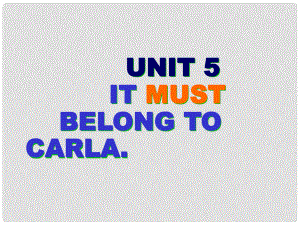 四川省江油市九年級(jí)英語《Unit 5 It must belong to Carla》Section B課件 人教新目標(biāo)版