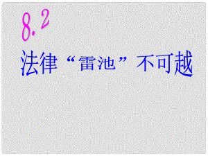 云南省麗江市永北鎮(zhèn)中學(xué)七年級政治 法律“雷池”不可越課件 人教新課標(biāo)版