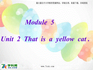 外研版小學(xué)英語外研版（一起）一上Module 5《Unit 2 This is a yellow cat》ppt課件3