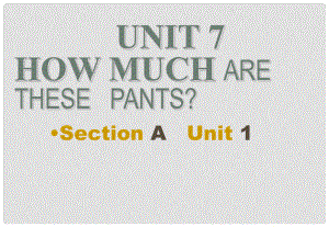 新七年級英語上冊 Unit 7 How much are these pants課件 人教新目標(biāo)版