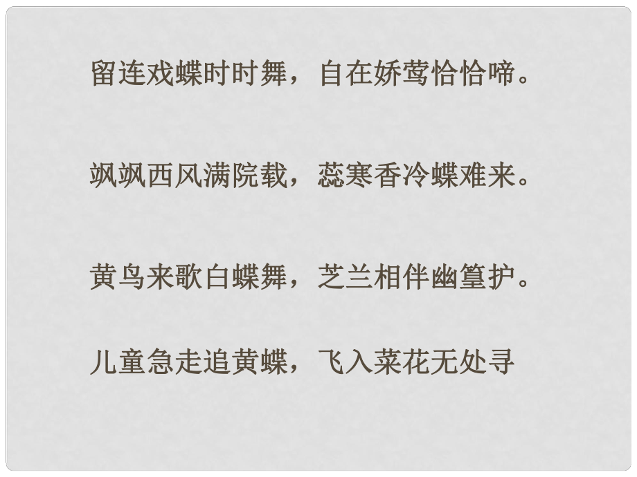 山東省淄博市周村區(qū)萌水中學(xué)七年級(jí)語文上冊(cè)《第24課 枯葉蝴蝶》課件_第1頁