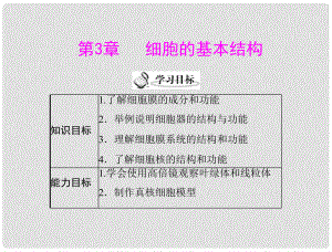 高中生物 第3章 第1節(jié) 細胞膜——系統(tǒng)的邊界課件 新人教版必修1 新課標