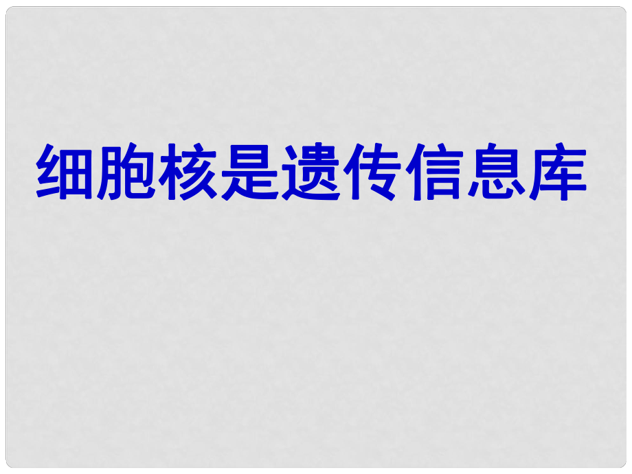 山东省枣庄四中七年级生物 细胞核是遗传信息库课件_第1页