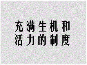 云南省麗江市永北鎮(zhèn)中學八年級政治 充滿生機和活力的制度課件 人教新課標版