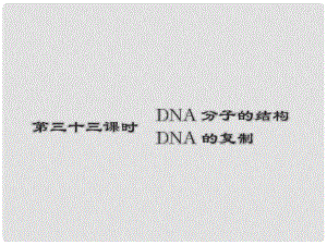 高考生物第一轮复习知识拓展 3.33DNA双螺旋结构模型的构建课件 浙科版必修2