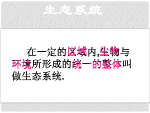 山東省淄博市周村區(qū)萌水中學八年級生物下冊《611 生態(tài)系統(tǒng)的組成》課件 新人教版