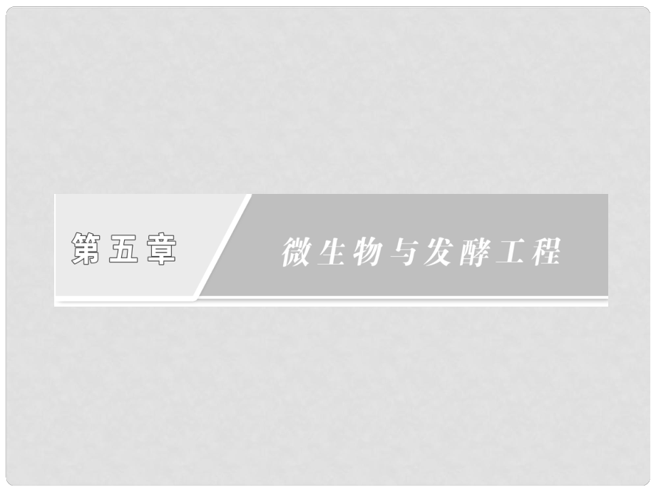 四川省成都市高考生物一輪復(fù)習(xí) 選修部分 第五章第一節(jié)微生物的類(lèi)群及營(yíng)養(yǎng)課件_第1頁(yè)