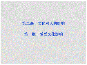 高中政治 第二課第一框 感受文化影響課件 新人教版必修3