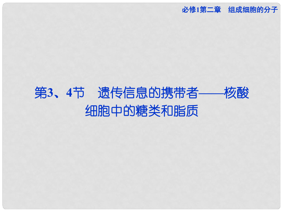 高考生物一輪復(fù)習 第二章第3、4節(jié) 遺傳信息的攜帶者 核酸課件 新人教版必修1_第1頁