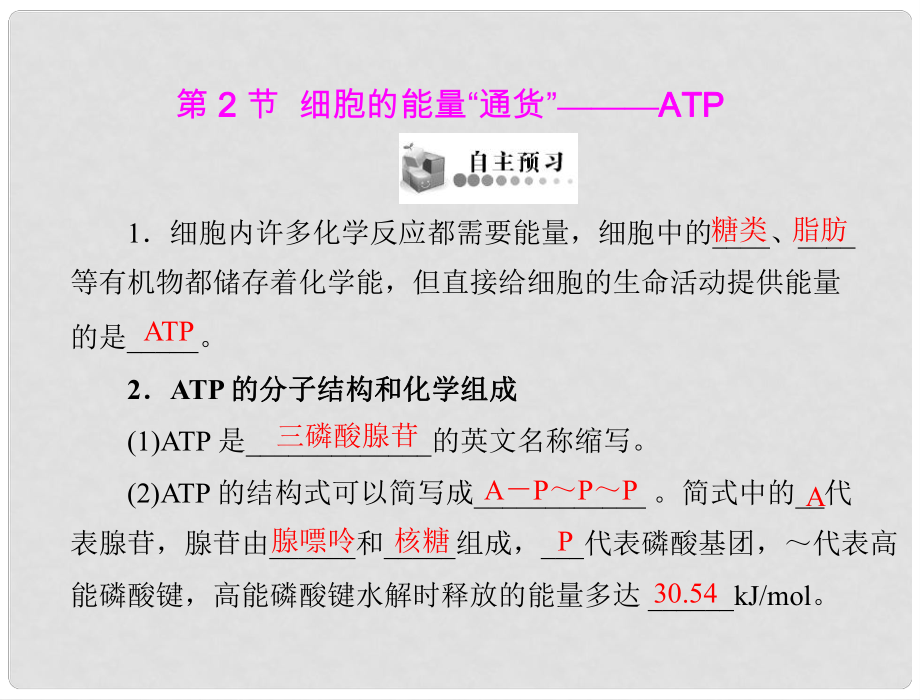 高中生物 第5章 第2節(jié) 細胞的能量“通貨”——ATP課件 新人教版必修1 新課標_第1頁