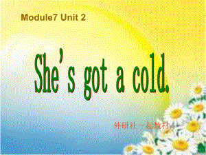 外研版小學英語Module 7 Unit 2 She’s got a cold (2)