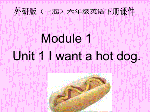 外研版一起小学英语六下《Module 1Unit 1 I want a hot dogplease.》PPT课件 (2)