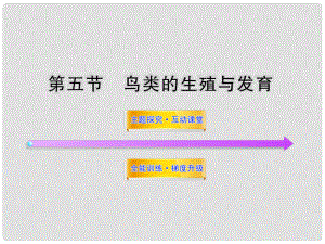 八年級生物上冊 第十四章 第五節(jié) 鳥類的生殖與發(fā)育課件 蘇教版