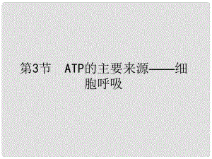 天津高中生物复习 ATP的主要来源——细胞呼吸 课件 新人教版必修1