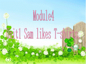 外研版小學英語外研版（一起）二上Module 4《Unit 1 Sam like T-shirts》ppt課件4