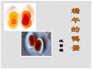 山東省淄博市臨淄區(qū)皇城鎮(zhèn)第二中學八年級語文 端午的鴨蛋課件 新人教版