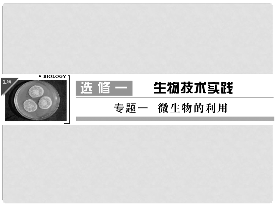 高考生物一輪復習資料 專題一微生物的利用課件 新人教版選修1_第1頁