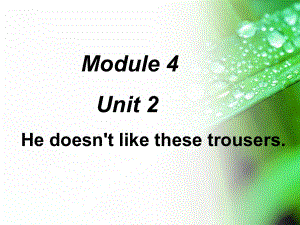 外研版小學(xué)英語外研版（一起）二上Module 4《Unit 2 He doesn’t like these trousers》ppt課件4