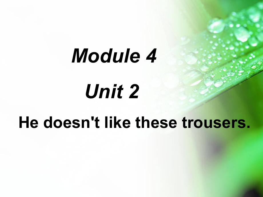 外研版小學(xué)英語(yǔ)外研版（一起）二上Module 4《Unit 2 He doesn’t like these trousers》ppt課件4_第1頁(yè)