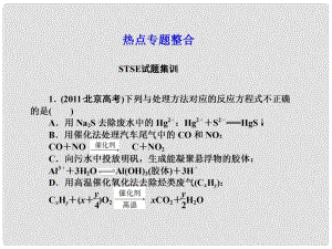 高考化學(xué)第一輪復(fù)習(xí) 第十一章熱點(diǎn)專題整合課件 新課標(biāo)（廣東專用）