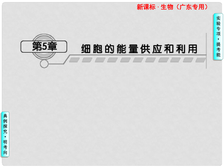 高三生物專題復(fù)習(xí) 細胞的能量供應(yīng)和利用課件_第1頁