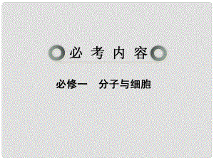 高考生物一輪復習講義 32 ATP的主要來源細胞呼吸課件 新人教版必修1